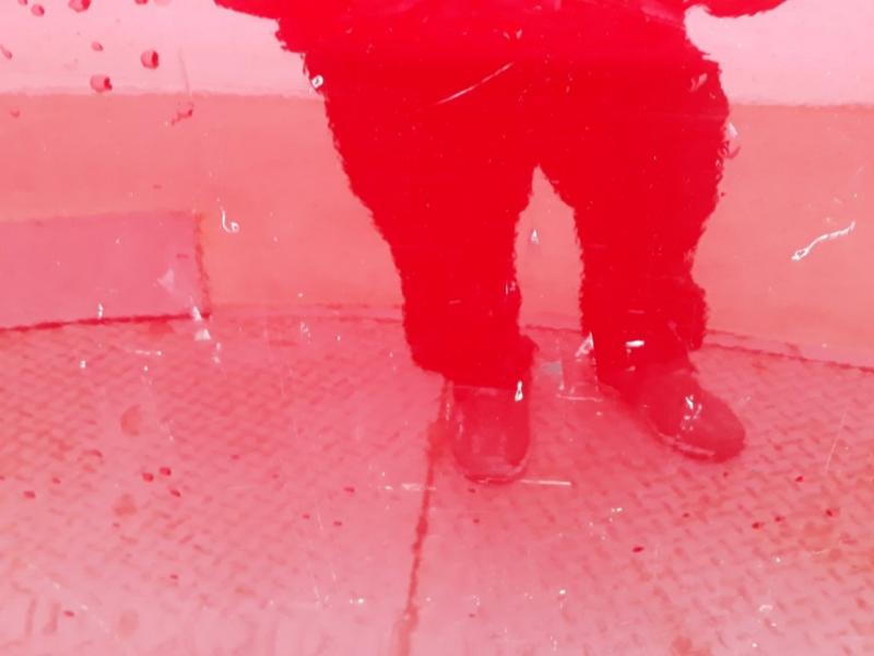 차량 이미지 23