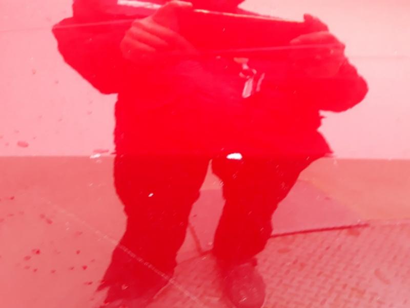차량 이미지 20